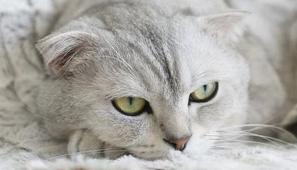 九游体育官方app-世界杯预选赛U23国足出战 数据分析揭示问题，u23世界杯百度百科